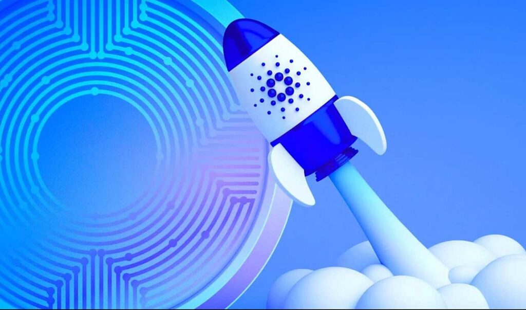 Cardaono 2022 Eğrisi nasıl olacak?