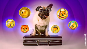 meme coinlere yatırım yaparken dikkat edilmesi gerekenler