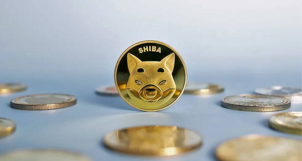 Shiba Coin Geleceği