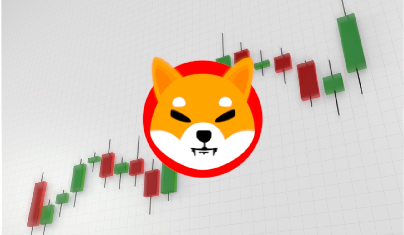 2022 shiba coin tahmini