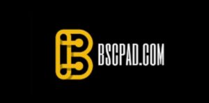 BSCPAD Launchpad Platformu 2022