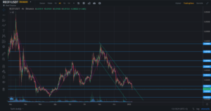 Reef (REEF) coin 2022'de yükselir mi