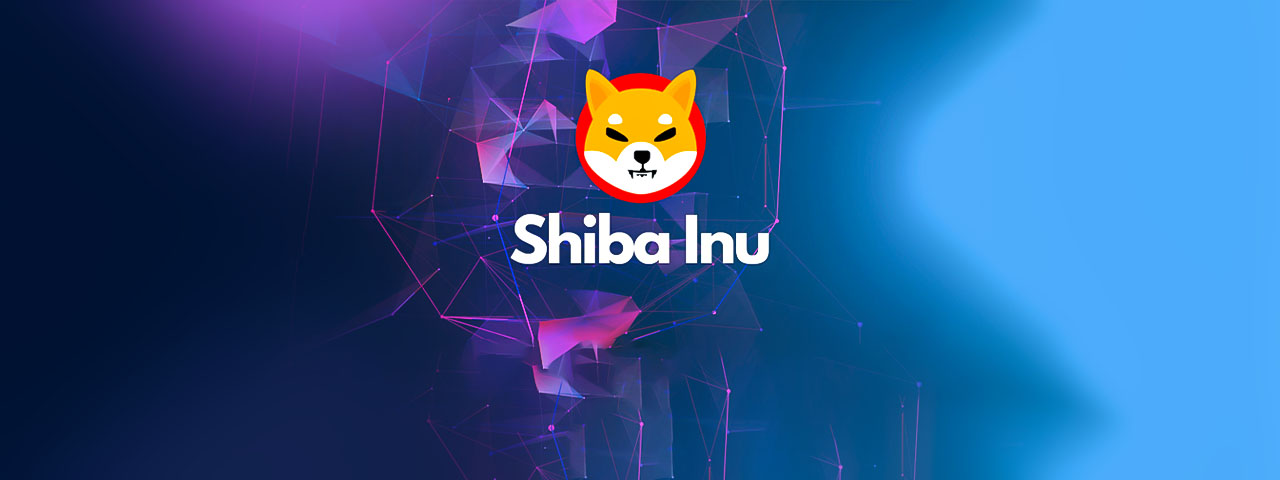 2022 Shiba Inu (SHIB) fiyat beklentisi