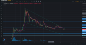 Shiba (SHIB) coin 2022'de yükselir mi?