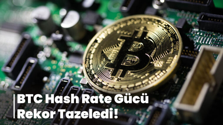 BTC Hash Rate Gücü