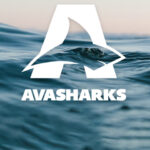 AvaSharks Projesi Nedir? NFT'leri Nasıl Alınır?