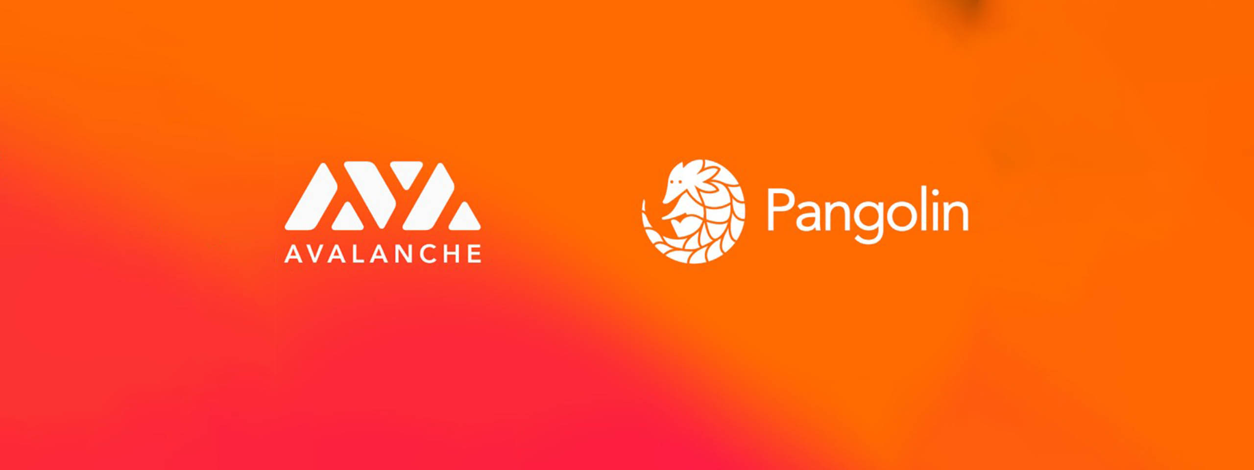 Pangolin Coin (PNG) Nedir? PNG’nin 2022 Gidişatı Ne Olacak?