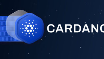 Cardano Düşüşte! Cardano Neden Düştü? Son 24 Saat'te Cardano!