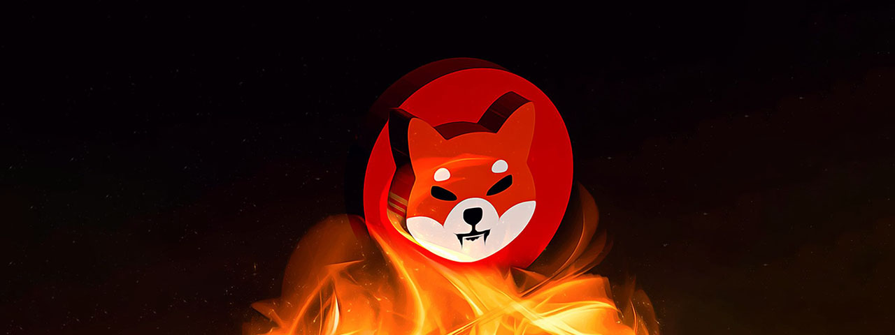 230 Milyon Shiba Coin Yakımı! Bu Memecoin İçin Yükseliş mi?