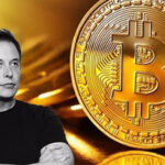 Elon Musk Bitcoin, Ethereum ve Dogecoin'imi Satmayacağım