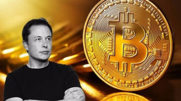 Elon Musk Bitcoin, Ethereum ve Dogecoin'imi Satmayacağım