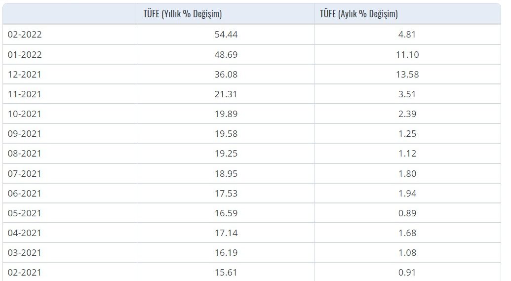 Bitcoin enflasyondan korur mu?