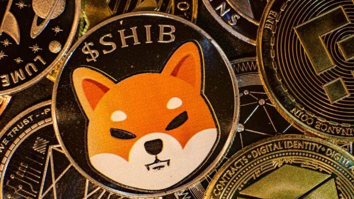 Shiba Coin Yorum! Shiba Inu Coin 2023 Yorumları ve Teknik Analizi