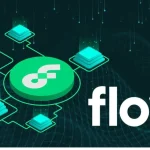 Flow (FLOW) Coin Nedir, Kurucuları Kimdir, Nasıl Alınır, Güvenilir Mi, İstatislikleri Nelerdir, Projeyi Farklı Kılan Nedir?