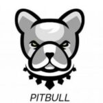 Pitbull (PIT) Coin Nedir, Nasıl Satın Alınır, Nasıl Çalışır, Kurucuları Kim, Hangi Ülkeye Ait, Avantaj ve Dezavantajları Nelerdir?