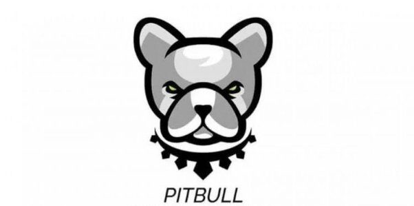 Pitbull (PIT) Coin Nedir, Nasıl Satın Alınır, Nasıl Çalışır, Kurucuları Kim, Hangi Ülkeye Ait, Avantaj ve Dezavantajları Nelerdir?