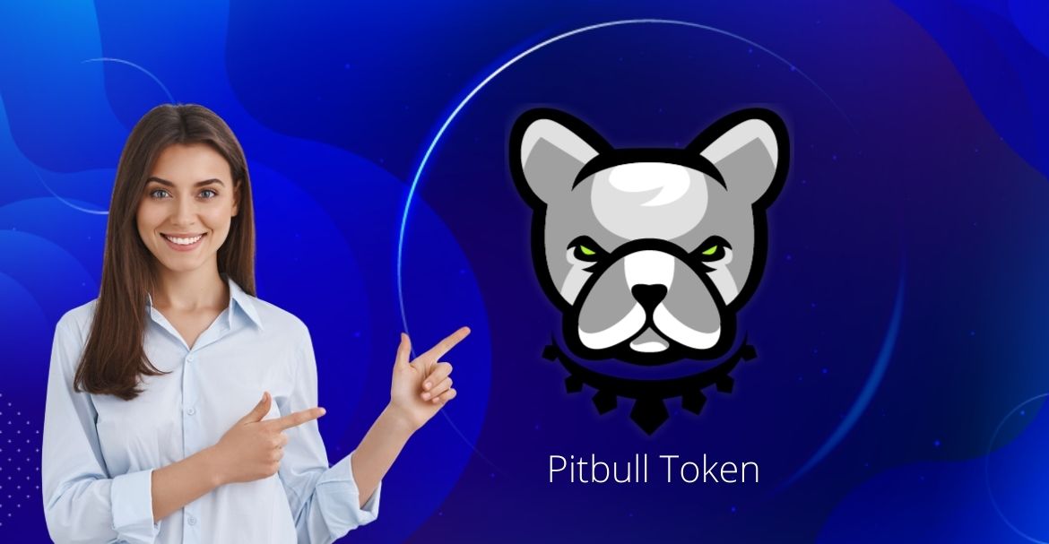 PIT Coin Piyasa Bilgileri