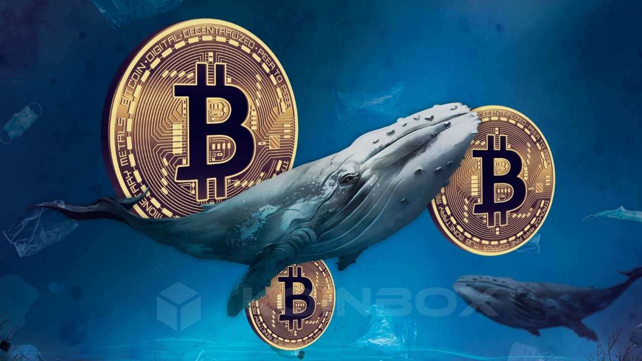 Whale movement: Carried 1 billion dollars!