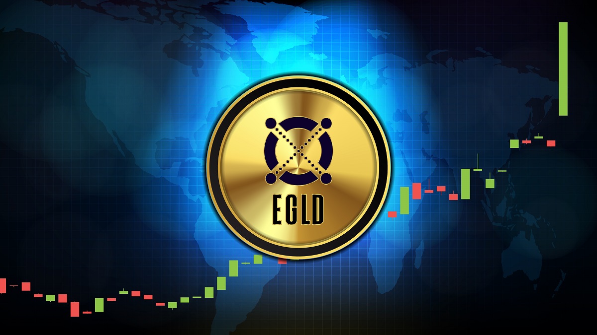 How to Buy EGLD Coin?