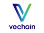VeChain (VET) Coin Nedir, Kurucuları Kimdir, Nasıl Satın Alınır, VeChain'in Nasıl Kullanılır, Piyasada Kaç VeChain (VET) Coini Vardır?