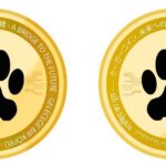 Cougar (CGS) Token Nedir, COUGAR Coin Nereden Alınır, Cougar (CGS) Token Yorum